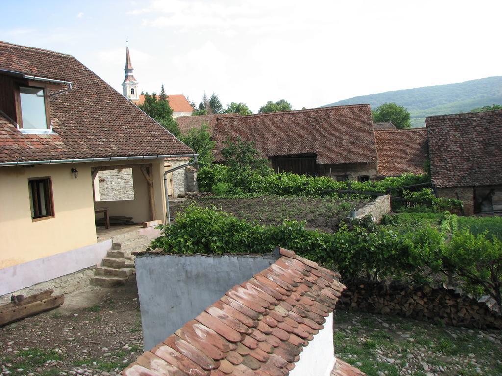 Convivium Transilvania Crit Экстерьер фото
