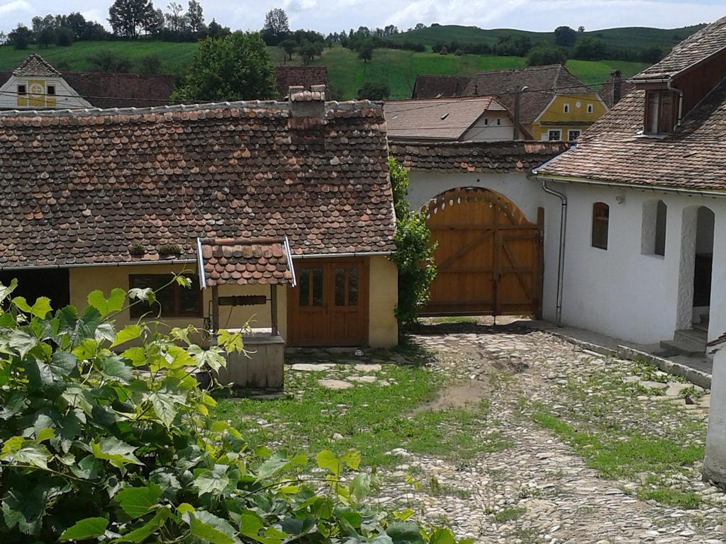 Convivium Transilvania Crit Экстерьер фото